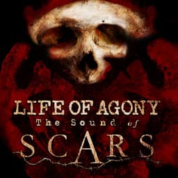 The Sound of Scars - Life Of Agony