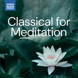 Classical for Meditation - Camille Saint-Saëns