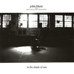 In the Shade of Sun - John Blum