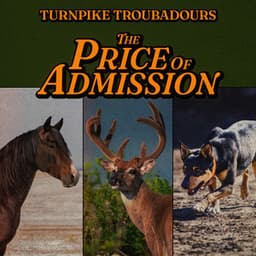 The Price of Admission - Turnpike Troubadours