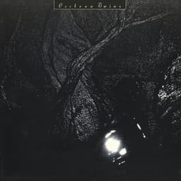 The Pink Opaque - Cocteau Twins