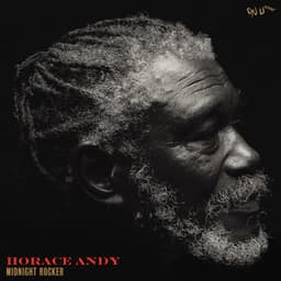 Midnight Rocker - Horace Andy