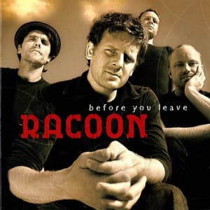 Before You Leave - Racoon