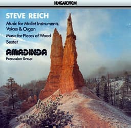Reich: Music for Mallet Instruments, Voices and Organ / Music for Pieces of Wood / Sextet - Steve Reich