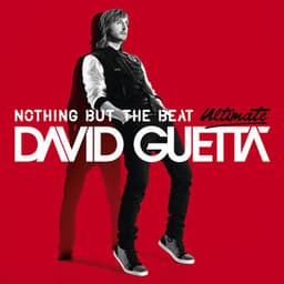 Nothing but the Beat - David Guetta