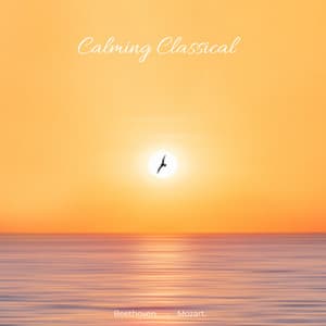 Calming Classical: Beethoven & Mozart - Ludwig van Beethoven