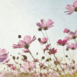 Moments of Classical Serenity - Johann Sebastian Bach