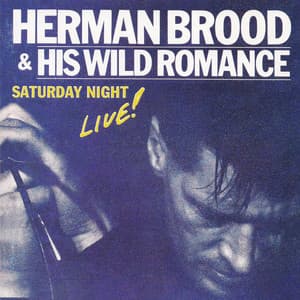 Saturday Night Live! - Herman Brood & His Wild Romance