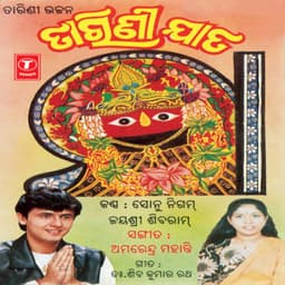 Tarinee Jata - Sonu Nigam