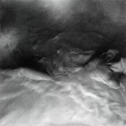 FLOWERS for VASES / descansos