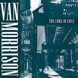 Too Long in Exile - Van Morrison