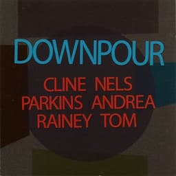 Downpour - Nels Cline
