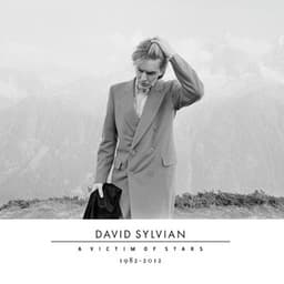A Victim Of Stars 1982-2012 - David Sylvian