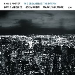 The Dreamer Is The Dream - Chris Potter
