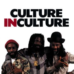 Culture In Culture - Culture
