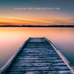 Chopin For Concentration - Frédéric Chopin