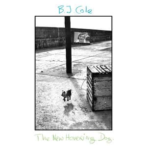 The New Hovering Dog - BJ Cole