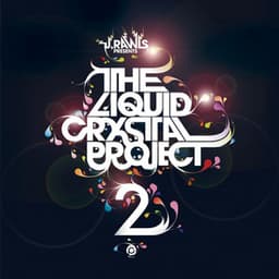Liquid Crystal Project 2 - Liquid Crystal Project