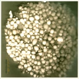 Sidetracked - Jakob Bro