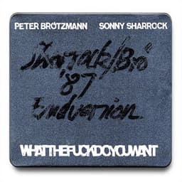 Whatthefuckdoyouwant - Peter Brötzmann