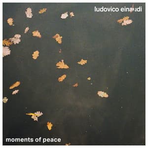 Moments of Peace - Ludovico Einaudi