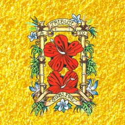 Look At All The Love We Found: A Tribute To Sublime - Sublime