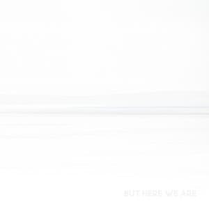 But Here We Are - Foo Fighters