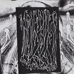 Lung Malfunction - Wolf Eyes