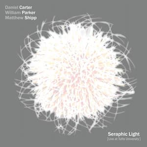 Seraphic Light - Daniel Carter