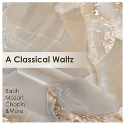 "A Classical Waltz" - Johann Sebastian Bach