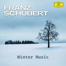 Schubert: Winter Music - Franz Schubert