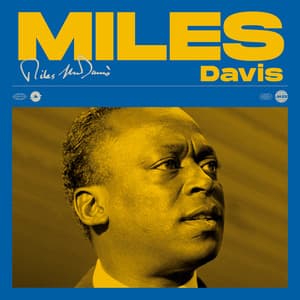 Miles Davis Jazz Monument - Miles Davis