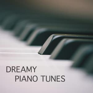 Dreamy Piano Tunes - Johann Sebastian Bach