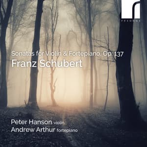 Schubert: Sonatas for Violin & Fortepiano - Franz Schubert
