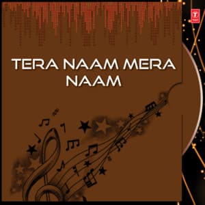 Tera Naam Mera Naam - Udit Narayan