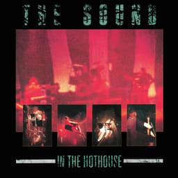 In the Hothouse - The Sound