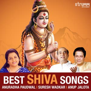 Best Shiva Songs - Anuradha Paudwal
