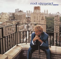 If We Fall in Love Tonight - Rod Stewart