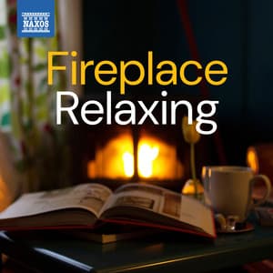 Fireplace Relaxing - Wolfgang Amadeus Mozart