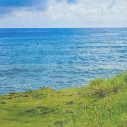 Weekend Classics - Johann Sebastian Bach