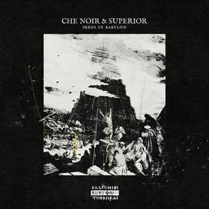 Seeds In Babylon - Che Noir