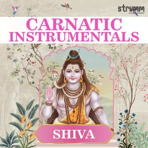 Carnatic Instrumentals - Shiva - Ramachandra Murthy