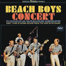 Beach Boys Concert - The Beach Boys