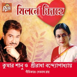 Milone Birohe - Kumar Sanu
