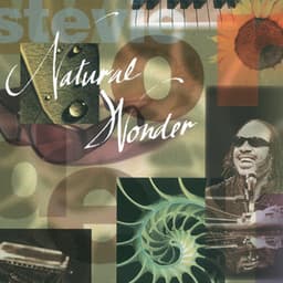 Natural Wonder - Stevie Wonder
