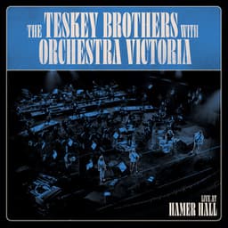 Live at Hamer Hall - The Teskey Brothers