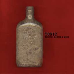 Tonic - Medeski, Martin & Wood