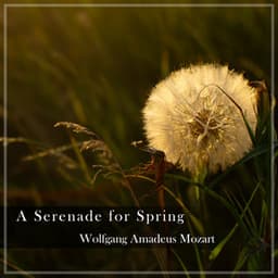 "A Serenade for Spring" - Mozart - Wolfgang Amadeus Mozart