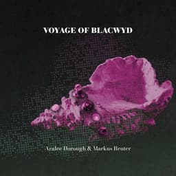 Voyage of Blacwyd - Markus Reuter