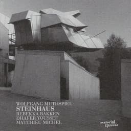 Steinhaus - Wolfgang Muthspiel